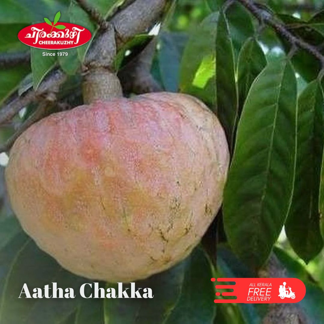 custard apple [athachakka]